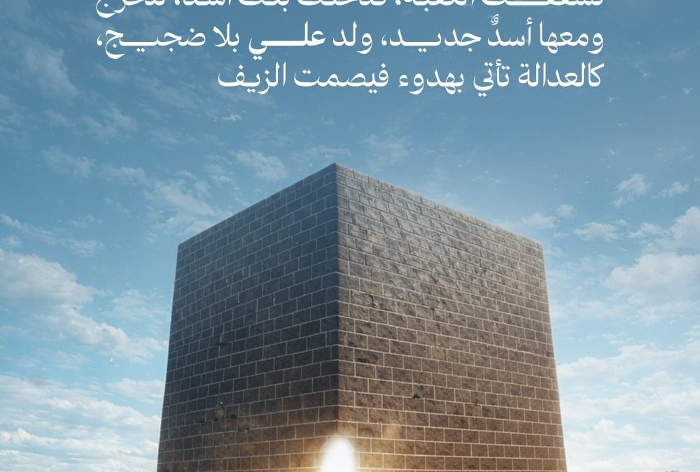 ولادة العدالة